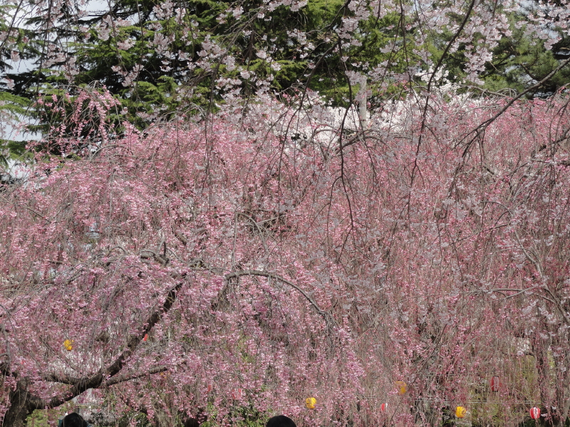 img0055.jpg