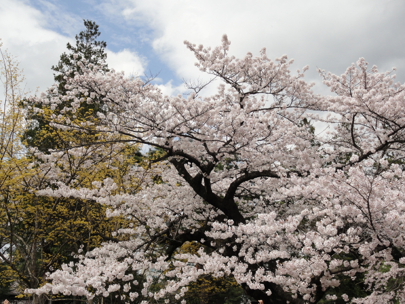 img0076.jpg