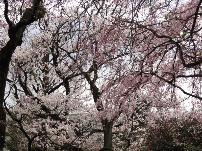 img0079.jpg
