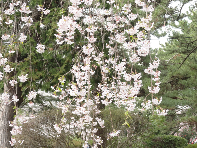img0099.jpg