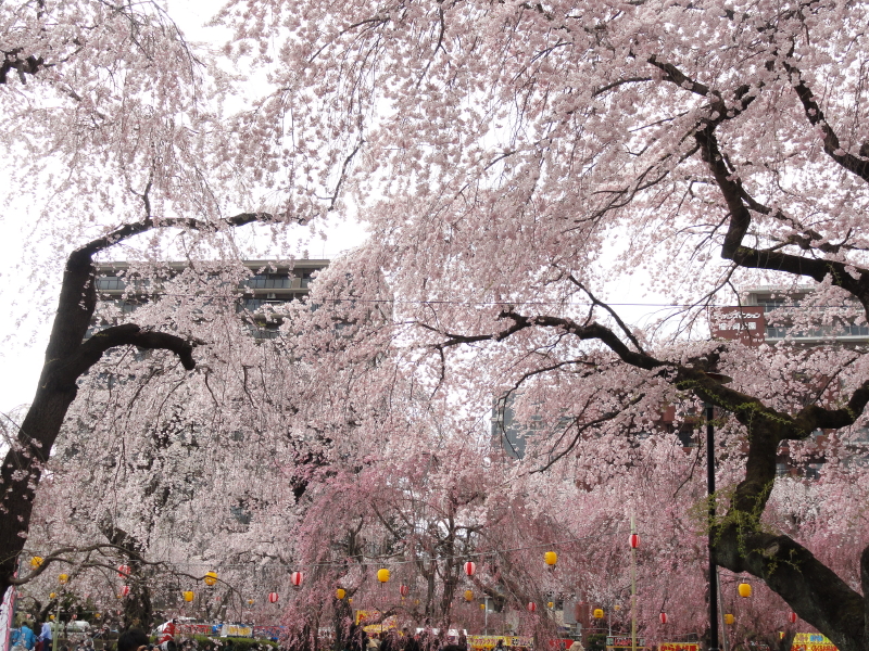 img0115.jpg