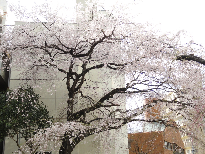 img0139.jpg