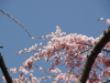 img0000.jpg