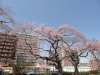 img0003.jpg