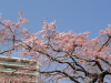 img0004.jpg