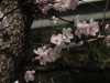 img0007.jpg