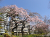 img0010.jpg