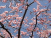 img0013.jpg
