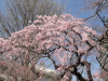 img0014.jpg