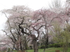 img0019.jpg