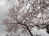 img0021.jpg