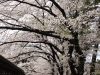 img0025.jpg