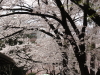 img0026.jpg