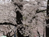 img0027.jpg