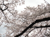 img0029.jpg