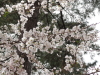 img0030.jpg