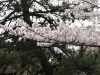 img0032.jpg