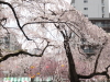 img0035.jpg