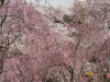 img0044.jpg