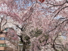 img0046.jpg