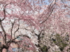 img0047.jpg