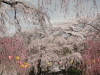 img0048.jpg