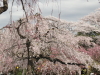 img0052.jpg