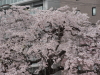 img0053.jpg
