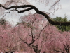 img0054.jpg