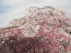 img0056.jpg
