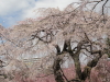 img0058.jpg