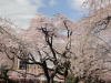 img0060.jpg