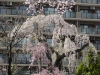 img0063.jpg