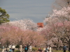 img0067.jpg