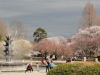 img0068.jpg
