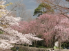 img0070.jpg