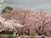 img0073.jpg