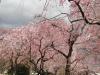 img0075.jpg