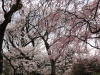 img0079.jpg