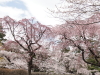 img0089.jpg