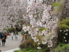 img0091.jpg