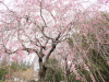img0094.jpg