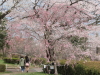 img0102.jpg