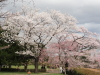 img0104.jpg