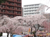 img0108.jpg