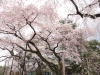 img0111.jpg