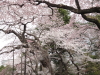 img0112.jpg