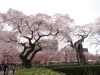 img0114.jpg