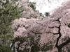 img0117.jpg