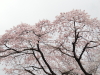 img0119.jpg